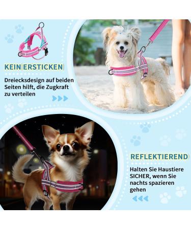 Eyein No-Pull Dog Harness & Leash - Reflective Adjustable Soft Padded Dishes for Puppies Small & Large Dogs Cats - Rose Red XS - Buy Online on GoSupps.com