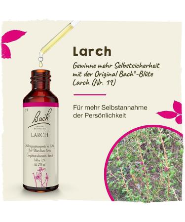 Original Bach Flower Drops No. 19 Larch - Boost Self-Confidence & Determination | 20ml - International Shipping Available - Buy Online on GoSupps.com