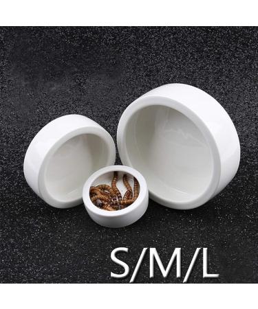 Reptile Food Water Dish Worm Bowl Mealworm Feed Feeder Mini Reptile Food Bowl Ceramics Made (L) - Buy Online on GoSupps.com