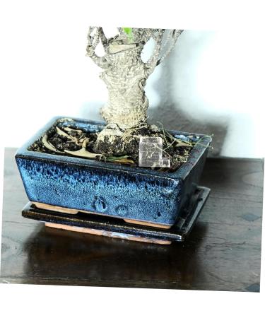 BESPORTBLE Pet Water Feeder Ants Waterer for Garden Ants Nest Water Feeder Ants Farm Water Feeders Plastic - Buy Online on GoSupps.com