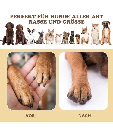 Ykall Dog Claw Grinder - Stress-Free Nail File & Treat Scratching Board | 360 Rotation Dog Scratch Pad for Healthy Nails - Buy Online on GoSupps.com