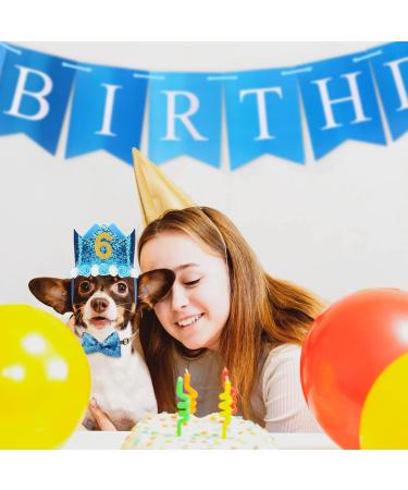 Dog Birthday Party Accessories - Bling Birthday Crown & Decorations Set for Dogs & Cats - Happy Birthday Banner & Party Supplies - Buy Online on GoSupps.com