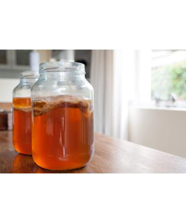 Organic Kombucha Tea Blend 8oz | Fermentaholics USDA Certified | Makes 22 Gallons | Kosher & Organic Black/Green Tea | Loose Leaf - 1 Pack - Buy Online on GoSupps.com