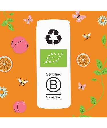 CLIPPER - Organic Refreshing Drink - Chamomile Peach Orange Fusion - No added sugar - 25cl - Pack of 12 Cans - Buy Online on GoSupps.com