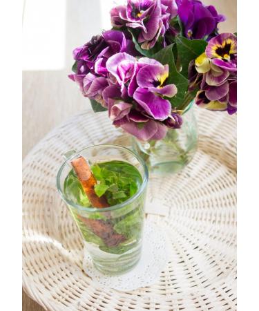 Wild Pansy Herb Tea | Viola Tricolor L | Pens es Herbe Tisane | Health Embassy (50g) - Buy Online on GoSupps.com
