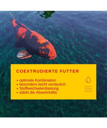 Sera Koi Professional KoiFutter 7 kg | Optimal Koi Food for Spring & Autumn | Reduces Water Pollution & Algae | Ideal for Temperatures Below 17 C | International Shipping Available - Buy Online on GoSupps.com