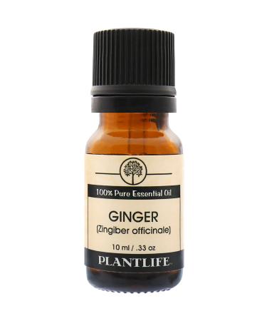 Plantlife Ginger Aromatherapy Essential Oil - Straight from The Plant 100% Pure Therapeutic Grade - No Additives or Fillers - 10 ml