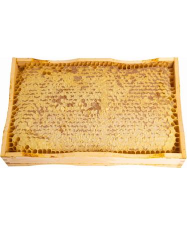 Pure Wildflower Honeycomb Raw Honey Untreated Limited Quantity - 800g - Buy Online on GoSupps.com
