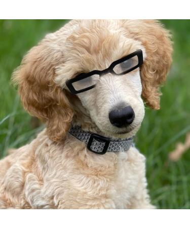 Shop PopetPop Transparent Glasses for Dogs & Puppies - Portable Sunglasses Fun Outfits & Cosplay Accessories - Buy Online on GoSupps.com