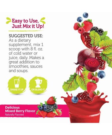 Organic Reds Probiotics Powder | Antioxidant Superfood | Boost Energy | Non-GMO | Mixed Berry Flavor - 30 Servings - Buy Online on GoSupps.com