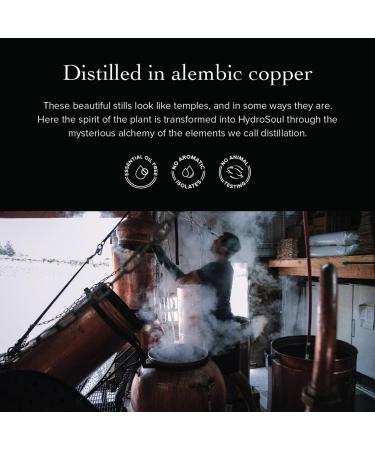 evanhealy Douglas Fir HydroSoul | Organic Copper Distilled Hydrosol for Dull Devitalized Sensitive & Congested Skin | Calming Purifying & Uplifting - Buy Online on GoSupps.com