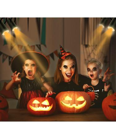 14 Piece Halloween Gel Filter Set | Colored Overlays Correction | 11.7x8.3 Inches | Orange Transparent Color Film Sheets - Buy Online on GoSupps.com