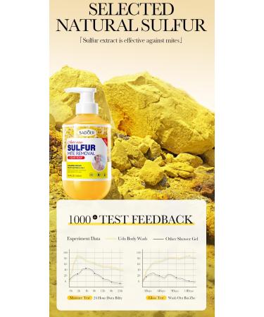 Deep Clean & Refreshing Shower Gel - Gentle Body Care for Men & Women | Sulfur Soap Liquid 16.9 Fl.Oz (500ml) for Soothing Treatment & Mite Control - Buy Online on GoSupps.com