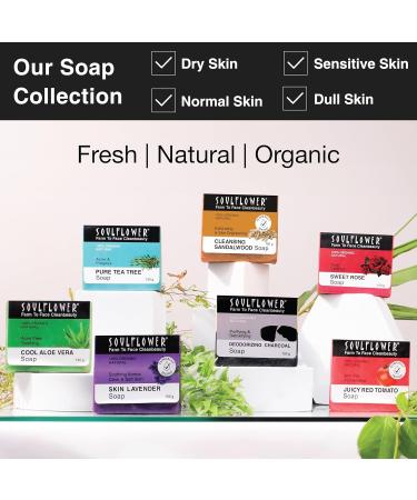 Lavender Handmade Soap - Natural Cold Process | Vegan & Calming | 5 Oz - Buy Online on GoSupps.com