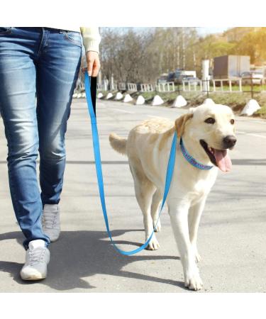 Tagme Personalized Large Dog Collar - Embroidered Reflective Nylon with Pet Name & Phone Number - Sky Blue XL (1 Pack) - Buy Online on GoSupps.com
