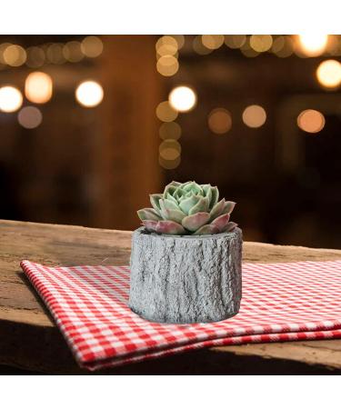 Tree Stump Silicone Mold for Succulent Planter, Candle Holder, Pen Holder & Storage Box - Concrete, Epoxy Resin, Clay, Cement Mould - Buy Online on GoSupps.com