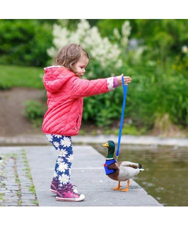Molain Adjustable Chicken Harness & Leash - Comfortable Vest for Ducks & Hens (2-11 lbs) - Breathable Mesh Training Gear (Blue) - Buy Online on GoSupps.com