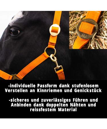 Premium Adjustable Horse Halter for Warmbloods & Thoroughbreds | Tearproof Safe & Comfortable - Ideal for Stables & Pastures (Orange Cold Blood) - Buy Online on GoSupps.com