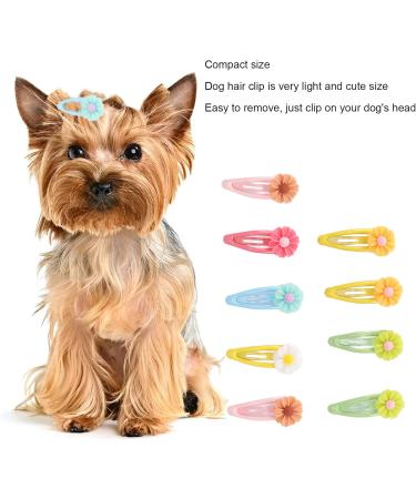 Shanrya Dog Pegs - Easy to Carry Plastic Dog Pegs for Parties | International Shipping Available - Buy Online on GoSupps.com