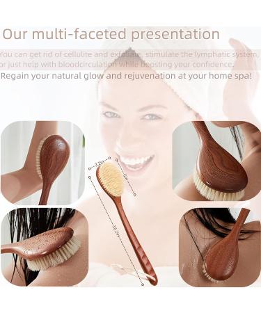 Advanced Dry Body Brush with Long Wooden Handle for Exfoliation and Dead Skin Removal - Shower Brush and Back Scrubber for Ultimate Bathing Experience - Buy Online on GoSupps.com