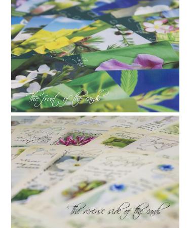 Creature Comforters Bach Flower Divination Cards Pack 38 Beautiful illustrations proverbs quotes affirmations - Buy Online on GoSupps.com