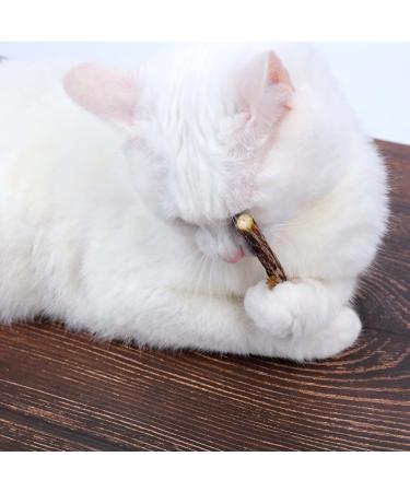 Newoutset 33 Pcs Cat Catnip Sticks Cat Catnip Chew Toys Natural Silvervine Matatabi Catnip Sticks Toys Cat Kitten Teething Toys Sticks for Cat Kitten Teeth Cleaning Including 3 x Cat Mouse Toy - Buy Online on GoSupps.com
