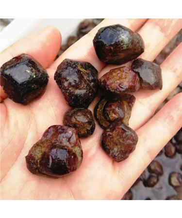 12pcs Natural Red Garnet Rough Stone Raw Stone Original Gem Lot SpecimenMinerals Gift Can be Used for ningxiao - Buy Online on GoSupps.com