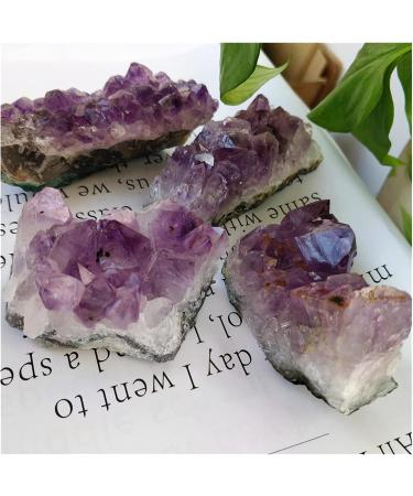Natural Crystal Rough Popular Natural Uruguay Amethyst Cluster Original Rough Raw Purple Crystal Clusters Druse for Reiki Decoration (Size : 200g 2pc) - Buy Online on GoSupps.com