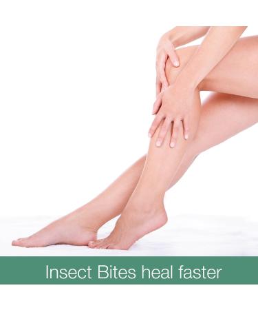 Wang Prom Herbal Balm 50g (Pack of 3) - Soothing Green Formula - Buy Online on GoSupps.com