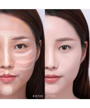 SSENTY Full Coverage Concealer Highly Moisturizing Concealer Stick Double-Sided Concealer with Brush Long-Lasting Waterproof Liquid Concealer for All Skin Types - Buy Online on GoSupps.com