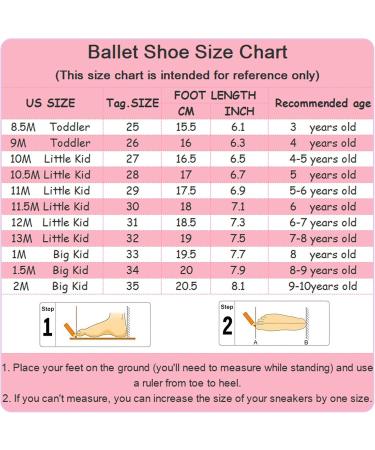 Happy Cherry Girl Ballet Shoes | Leather Sole Dance Shoes for Training | EU Size 32 Pavettes Rosa - Buy Online on GoSupps.com