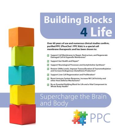 Nutrasal PhosChol PPC Polyenyl PhosphatidylCholine Choline Supplement for Kids 1000mg Liquid 8 oz - Buy Online on GoSupps.com