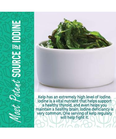 Kelp Powder 1 Lb - Natural Iodine Supplement (High Fiber) - 100% Pure Raw Seaweed Extract from Canada - Non-GMO, Gluten-free & Kosher - Buy Online on GoSupps.com
