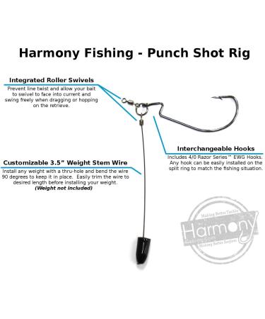 Harmony Fishing Punch Shot Rig Kit - 4/0 EWG Hooks, Tokyo Style Jig for Bass Fishing (10 Pack) - Buy Online on GoSupps.com