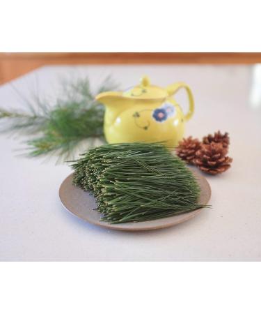 Organic Canadian Eastern White Pine Needle Tea (6g x 50 TEA BAGS) Fresh Pine Needle Tea and a Product of Canada - Buy Online on GoSupps.com