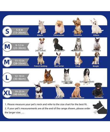 Small Cans for Dogs - 2-in-1 Inflatable Recovery Collar | Protective Pet Collar for Wounds & Surgery - Buy Online on GoSupps.com