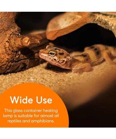 Ledivion D3 UV Basking Lamp 80 Watt Reptile Heat Lamp UVB UVA Mercury Vapor Self-Ballasted Provides Heat Light & UV for Reptile and Amphibian 80.0 Watts - Buy Online on GoSupps.com