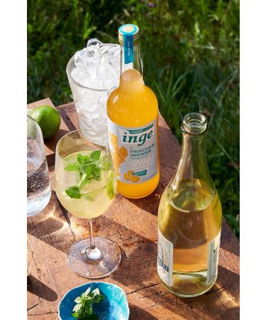 Buy Inge Ginger Syrup - Handmade Bavarian Fruit Ginger Syrup with Natural Spiciness | International Shipping Available - Buy Online on GoSupps.com