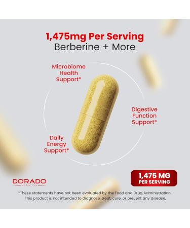 GLP-1 Supplement 14 in 1 Formula (GLP1 Supplement with Berberine ACV Chromium Ceylon Cinnamon Turmeric & More) Support Gut Health & Metabolism - Third Party Tested Vegan Safe & USA Made - Buy Online on GoSupps.com
