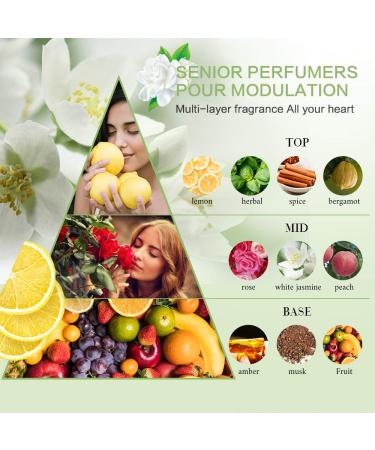 OPPEAL EXP Series | 200 PK Hotel Size Amenities Bulk Set | 50 Sets of 2-in-1 Shampoo & Conditioner Body Wash Lotion & Soap Bar | Perfect for Hotels AirBnB VRBO & Vacation Rentals - Buy Online on GoSupps.com