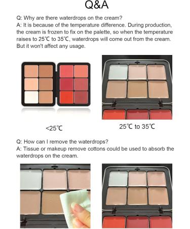  PCC PTYXIS Carmine Contour Color Palette 12 Colors Professional Color Concealer Cream Waterproof Color Palette Suitable for Oily Dry or Sensitive Skin (#12-B 12 Colors) - Buy Online on GoSupps.com