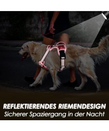 Buy Eyin Adjustable Dog Harness for Medium Dogs - Breathable Reflective Padded & Camouflage Pink | Perfect for Daily Training - Buy Online on GoSupps.com