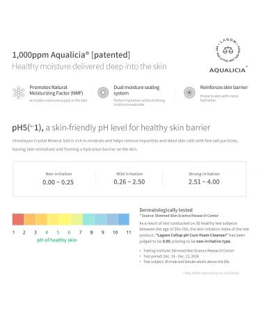 LAGOM Cellup pH Cure Foam Cleanser | Natural pH 5.5 Gentle Facial Wash for Sensitive Dry & Oily Skin | Alcohol-Free Hydrating Cream 120ml - Buy Online on GoSupps.com