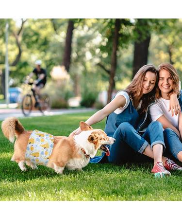 Czemo Washable Dog Diapers for Male & Female Dogs | Reusable Incontinence Pads | Pack of 3 - Ultimate Comfort & Protection - Buy Online on GoSupps.com