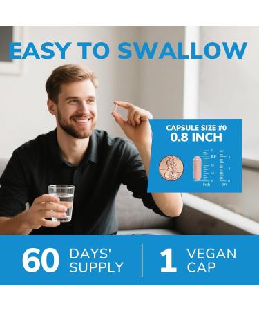 Probiotics for Men 70 Billion CFU 15 Strains Selenium Enzymes Saw Palmetto Cranberry for Digestive Gut Immune Prostate & Urinary Tract Health Shelf Stable 60 Capsules 60 Count (Pack of 1) - Buy Online on GoSupps.com