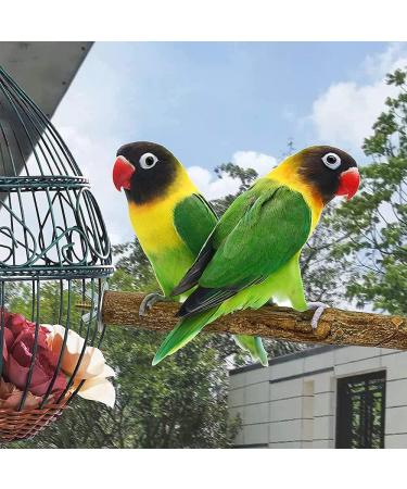 4 Piece Natural Wood Bird Toys Set - Perches Pencil Rods & Accessories for Parrots & Birds - 2 Specs 8 Washers & 4 Wing Nuts - Buy Online on GoSupps.com