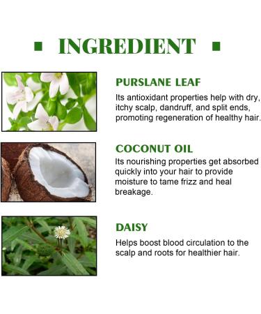 JITASHWA Hair Growth Oil Hair Growth Essence Repair Hair Follicles Hair Loss Prevention Hair Regrowth Treatment Hair Thickening Product - Buy Online on GoSupps.com