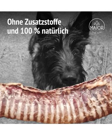 Premium Quality XXL Beef Head Skin - For Large and Extra Large Dogs - Giant Dog Breeds (500g) - Buy Online on GoSupps.com