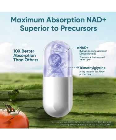 solodate Liposomal NAD+ 500mg Supplement with TMG | Cellular Energy & Anti-Aging | 120 Capsules - Buy Online on GoSupps.com