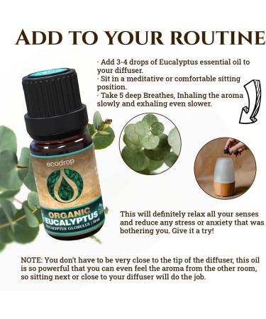 Ecodrop Pure Eucalyptus Essential Oil - 10ml | 100% Natural Therapeutic Grade Globulus Oil - Aromatherapy for Mood, Immunity, Pain Relief - Organic - Buy Online on GoSupps.com